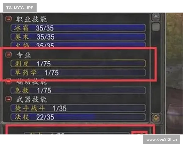 魔兽世界技能序列：掌握正确使用方法